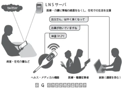 Fig. 5 LNS as a medical service 