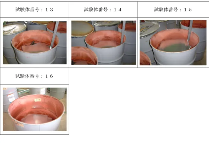 表 1  試験体写真一覧（続き） 