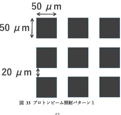 図   33  プロトンビーム照射パターン１ 