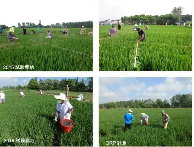 図 3-8  FBWA 散布と ORP 計測の様子 2015試験農地 