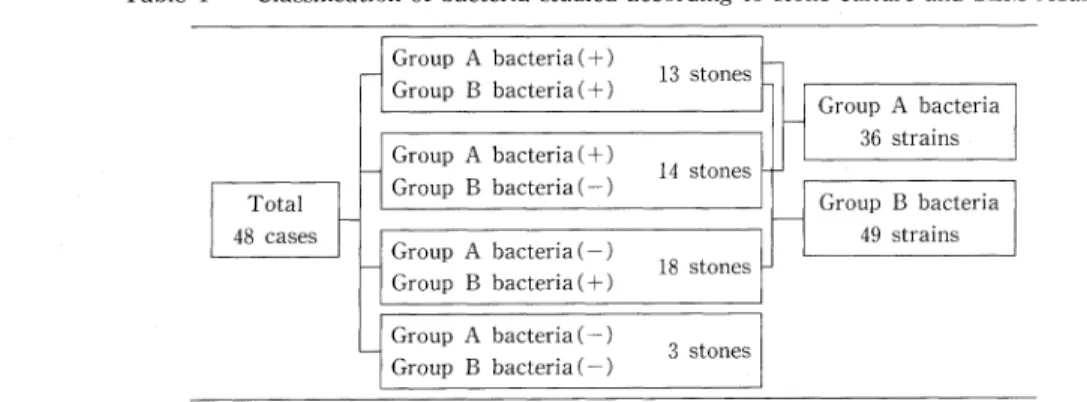 Table  1  Classification  of  bacteria  studied  according  to  stone  culture  and  SEM  results