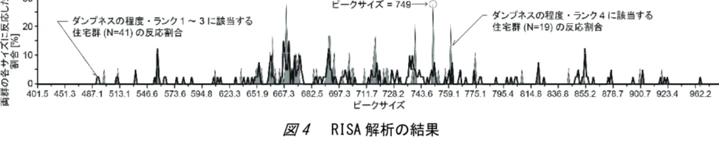 図 4  RISA 解析の結果 