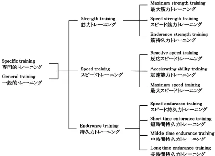 Fig. 1  Category of physical strength training for sprint running ( Schmolonsky, 1966) 