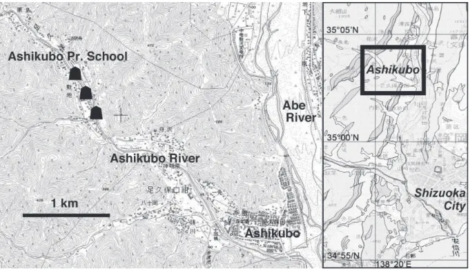 Fig. 5.  Various form of the “Tetsugan-seki” from the Ashikubo River and structure of half-cut section.