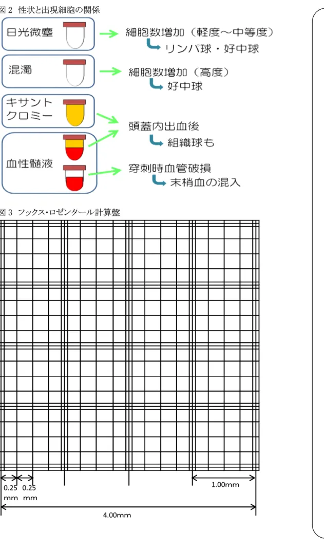 図 2  性状と出現細胞の関係  図 3  フックス・ロゼンタール計算盤  1.00ｍｍ 0.25 0.25 ｍｍ ｍｍ 4.00ｍｍ memo 