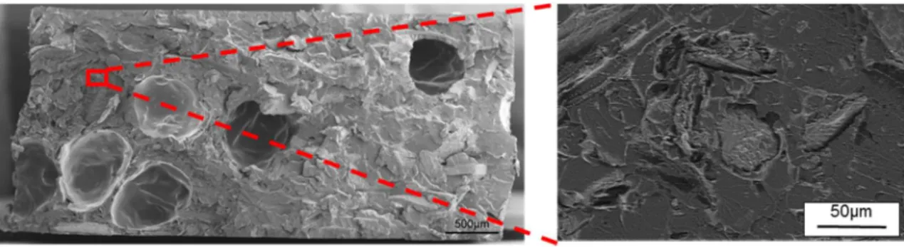 図 6 に作製した 3D プリンタ用フィラメントの写真をそれぞれ示す．PLA 単体では透明だが， 稲わらの複合材料は茶色に変化している．しかし，右側の図の CNF 添加後では添加前よりもや や薄い色合いとなり，比較的きれいになった．    4 ．まとめ 稲わらは粗粉砕すると様々な粒度に砕けるが， 106-300μm の粒度に砕けるものが最も多く，ま た， 106-300μm の粒度の稲わらはアスペクト比が他の粒度に比べ高く，強化繊維として適してい る．この粗粉砕した稲わらをボールミルにより湿式粉砕することで
