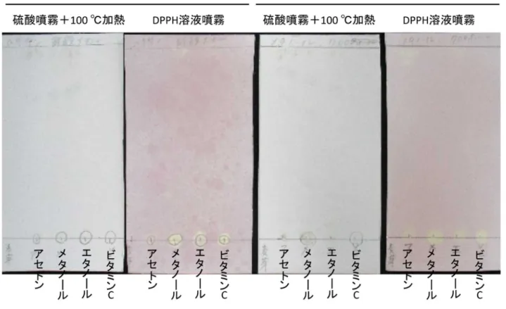 図 2  麦芽搾りかす抽出物の TLC 分析結果     表 1：えごま、麦芽の TCL の分析結果と抗酸化活性成分の有無  材料  展開溶媒  抽出溶媒  Rf 値  抗酸化活性がみられた スポット位置(Rf 値)  えごま  搾りかす  ヘキサン：酢酸エチル＝１：１  アセトン  0.29, 0.48, 0.59  0.26 メタノール 0.28, 0.44, 0.53 0.28  エタノール  0.26, 0.4, 0.5  0.29  クロロホルム：メタノール＝ ９：１  アセトン  0.09, 0