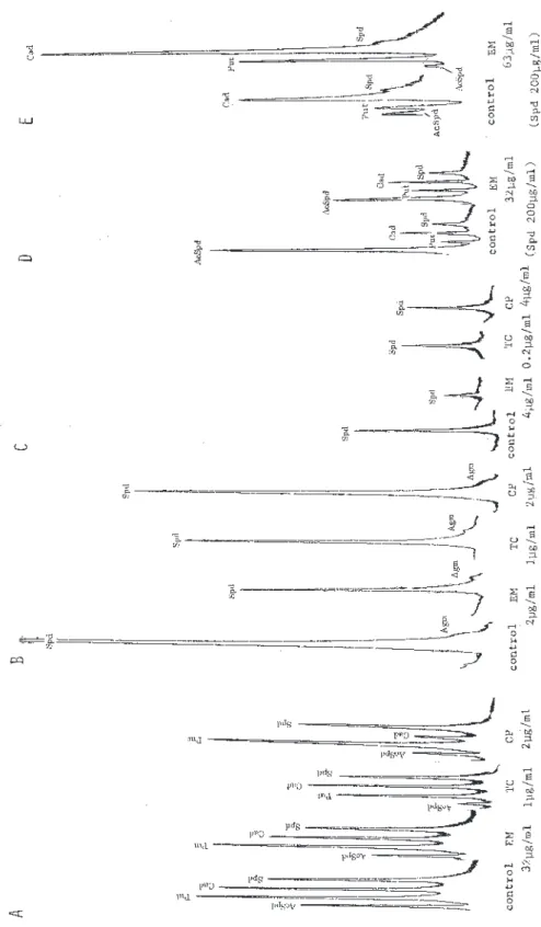 Fig.  4 - 2 .   HPLC analysis of polyamines extracted from Escherichia coli IAM 12119 (A), Bacillus subtilis IAM 12118 (B) and Enterococcus faecalis JCM 5803 (C) grown in Nutrient Broth in the absence (control) or presence of Erythromycin (EM), Chloramphen