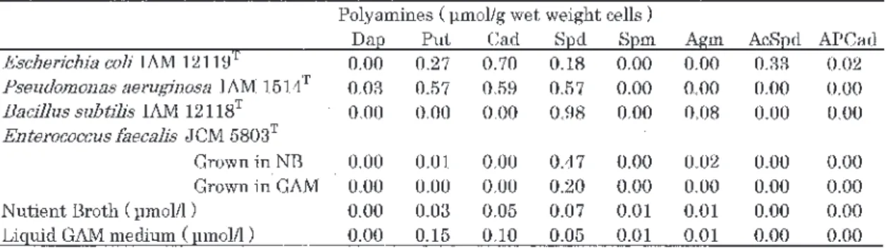 Table  1 Cellular concentration of polyamines of Escherichia coli , Pseudomonas aeruginosa , Bacillus subtilis and Enterococcus faecalis, and polyamine content of Nutrient Broth and liquid GAM medium used for their culture