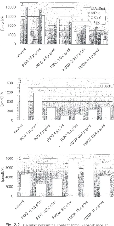 Fig.  2 - 2 .   Cellular polyamine content (pmol /absorbance at 600 nm for growth turbidity) of Escherichia coli IAM 12119 (A), Bacillus subtilis IAM 12118 (B) and Enterococcus faecalis JCM 5803 (C) grown in Nutrient Broth in the presence of Benzylpenicill