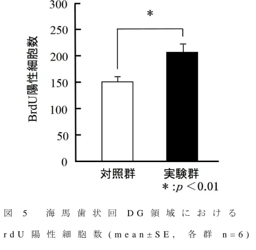 図 5 海 馬 歯 状 回 D G 領 域 に お け る B r d U 陽 性 細 胞 数 ( m e a n ± S E ， 各 群 n = 6 )  
