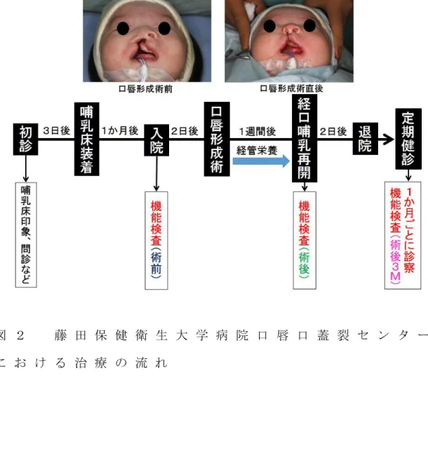 図 ２   藤 田 保 健 衛 生 大 学 病 院 口 唇 口 蓋 裂 セ ン タ ー に お け る 治 療 の 流 れ