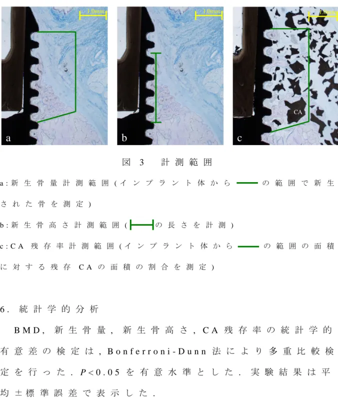 図 3 計 測 範 囲 a : 新 生 骨 量 計 測 範 囲 ( イ ン プ ラ ン ト 体 か ら   の 範 囲 で 新 生 さ れ た 骨 を 測 定 )     b : 新 生 骨 高 さ 計 測 範 囲 ( の 長 さ を 計 測 )   c : C A 残 存 率 計 測 範 囲 ( イ ン プ ラ ン ト 体 か ら   の 範 囲 の 面 積 に 対 す る 残 存 C A の 面 積 の 割 合 を 測 定 )   6 