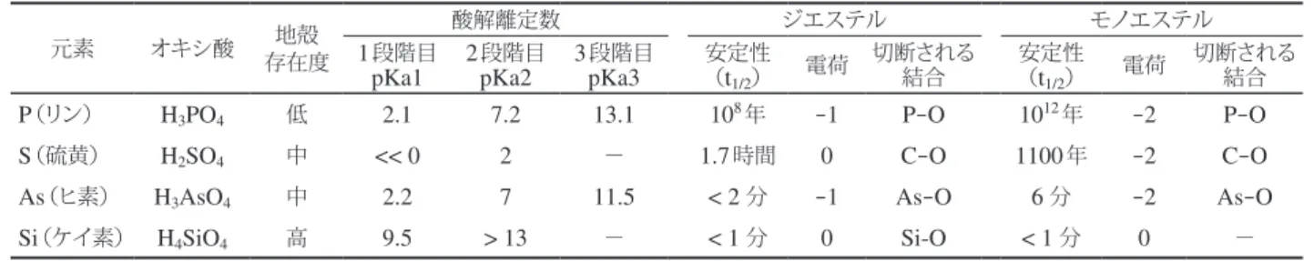 図 3 ． DNA 二重らせん構造