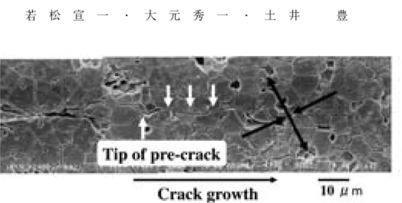 Fig． ９ Behaviour of subcritical crack propagation for the apatite ceramics sintered at １ ３ ５ ０℃ for ２ hours