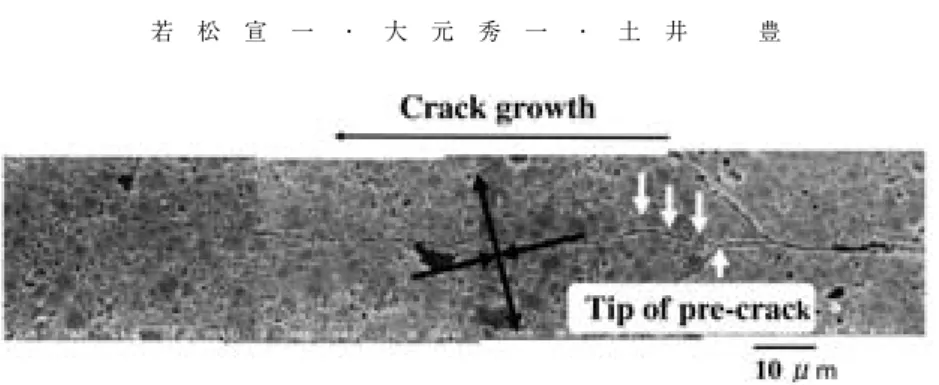 Fig． ６ Schematic representations of subcritical crack growth for apatite ceramics under mixeded-mode stress state