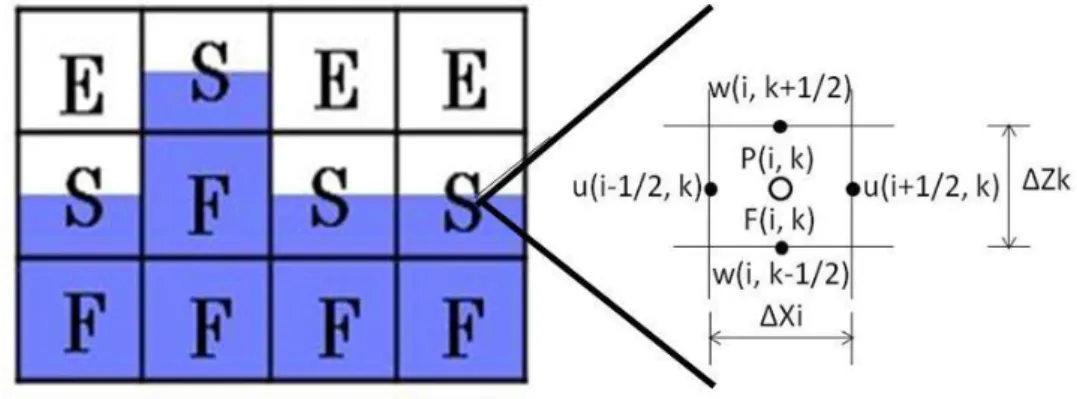 図 3.2  セルの分類と Staggered Mesh の設定 