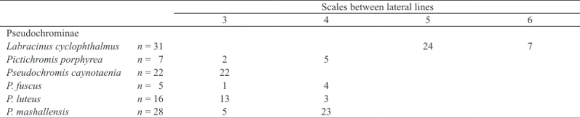 Table 8. Frequency distribution of scale counts between lateral lines in Pseudochrominae from Kagoshima Prefecture, Japan.