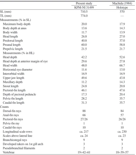 Table 1.  Measurements and counts of Cataetyx platyrhynchus.