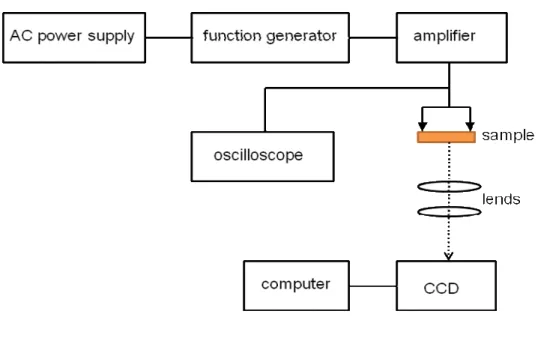 Fig. 3.6 EL スペクトル測定概略図