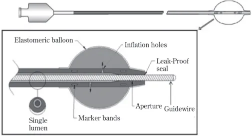 Fig.  1 The Hyper series occlusion balloon systems