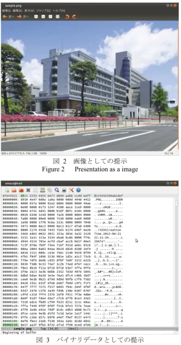 図 3　バイナリデータとしての提示 Figure 3 　 Presentation as binary data