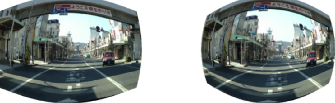 図 5.1: 人為的に歪を与えた画像の例 ( 左： Set1 ，右： Set2)