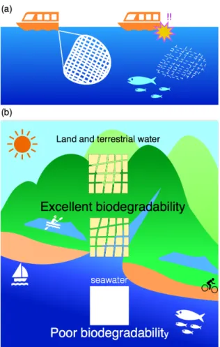 Fig.  8.  Timing  biodegradable  and  potentially  biodegradable  plastics. (a): timing biodegradable plastics