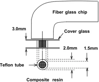 Fig． Light-cured composite resin sample used and light exposure using dental halogen unit