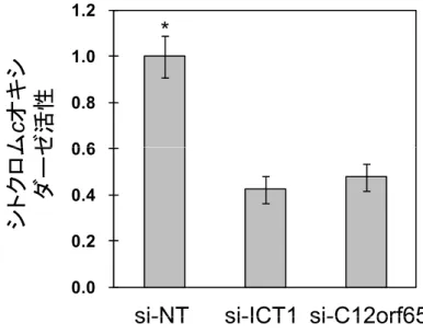 Fig. 2 - 5  シトクロム c オキシターゼ活性