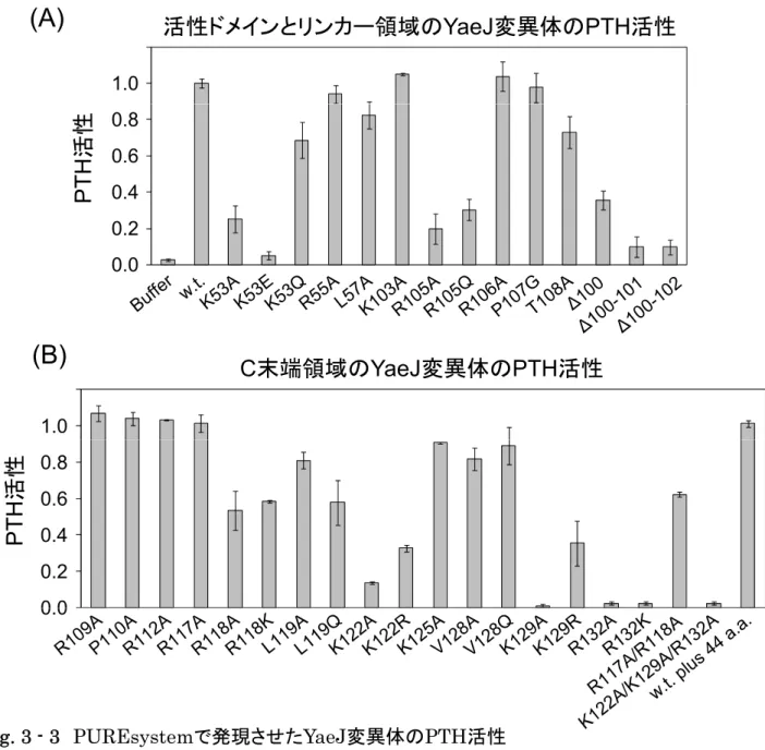 Fig. 3 - 3 PUREsystem で発現させた YaeJ 変異体の PTH 活性