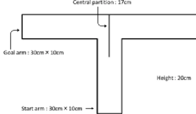 Fig. 1  Spatial Object Recognition (SOR) memory. 