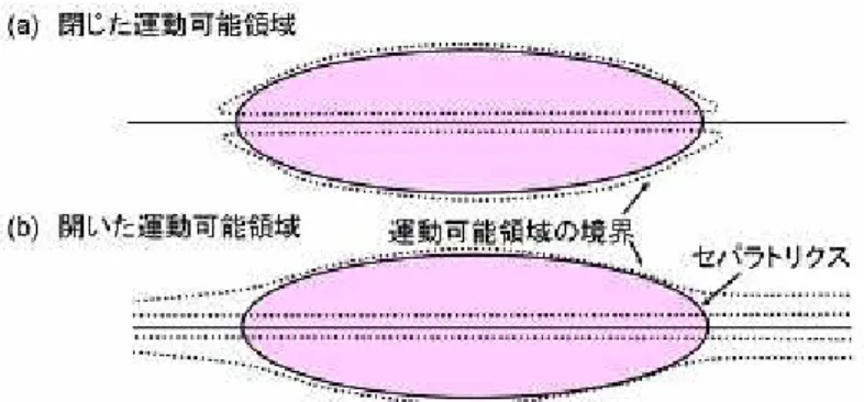 Fig. 2-2  運動可能領域の形状。(a)閉じた運動可能領域と(b)開いた運動可能領域。 開いた運動可能領域の場合、プラズマイオンはミラー端部にまで運動可能であ るため、端部からの損失が起こりやすい。  Fig