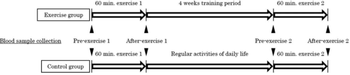 Table 1. Exercise checklist