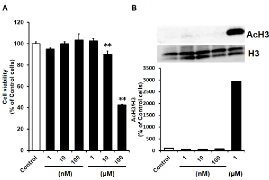 Figure 3-1 Effects of Ent on cell viability (A) and AcH3 level (B) in HCC827  cells. 