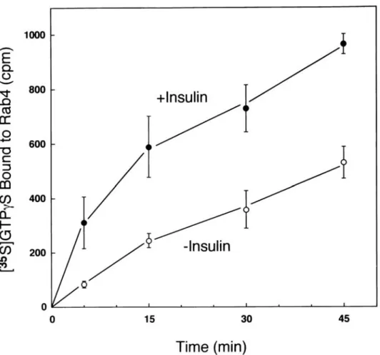 Figure 2   Time  course  of  [ 35 S]GTPS binding to Rab4 in basal and  insulin-stimulated electrically permeabilized adipocytes