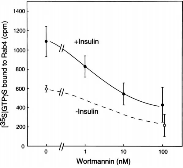 Figure 5 Effects of wortmannin on [ 35 S]GTPS binding to Rab4 in basal or  insulin-stimulated cells