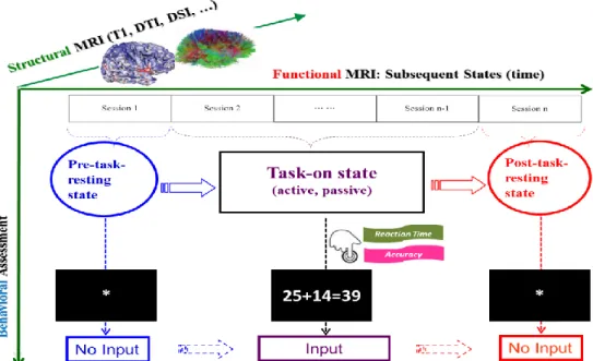 Fig.  2.6:  Systematic  consideration  on  the  design  of  single  fMRI  experiment.  It  is  necessary  to  involve  behavior  assessment,  structural  images,  and  functional  images  during the implementation of fMRI experiment for each time
