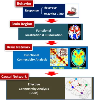 Fig.  4.1:  Multi-aspect  analysis  based  on  BI  methodology.  The  same  data  set  was  analyzed systematically from phenomenon to essence