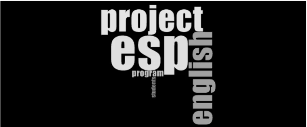Figure 6. Narratives of 20 ESP project leaders (based on exact words) 