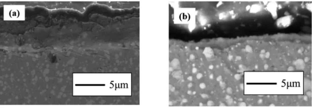Fig. 4.  SEM results of cross section mill scale in experiment condition (a) workpiece S45C (b) workpiece SUS310S.