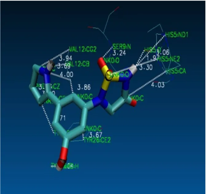 Figure  2.4:  Binding  interaction  of  docked  lead  compound  T6  with  active-site  residues of target protein characterized in bond formation