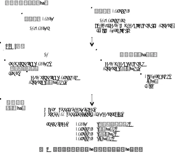 図   3    情報抽出テンプレートによるメタデータ生成    図 3 は，上記の方法で Web ページからメタデータを生成する流れを図示したものである．タイトル と主題の出現位置を RDFa のプロパティ名や XPath で指定すると， HTML 文書から該当箇所を抽出 し，一つの RDF グラフとしてメタデータを統合・出力する．  4