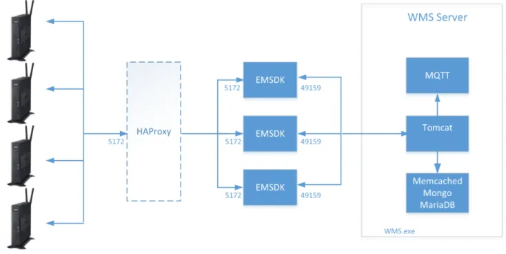 図 5. 複数のリモート EMSDK が導入されている 1 台の VM に Wyse Management Suite を導入