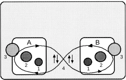 Fig. 2. Ki-Based Interpersonal Communication Model