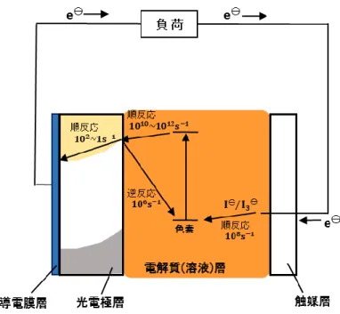 図 2.5.3  順反応と逆反応 [12]