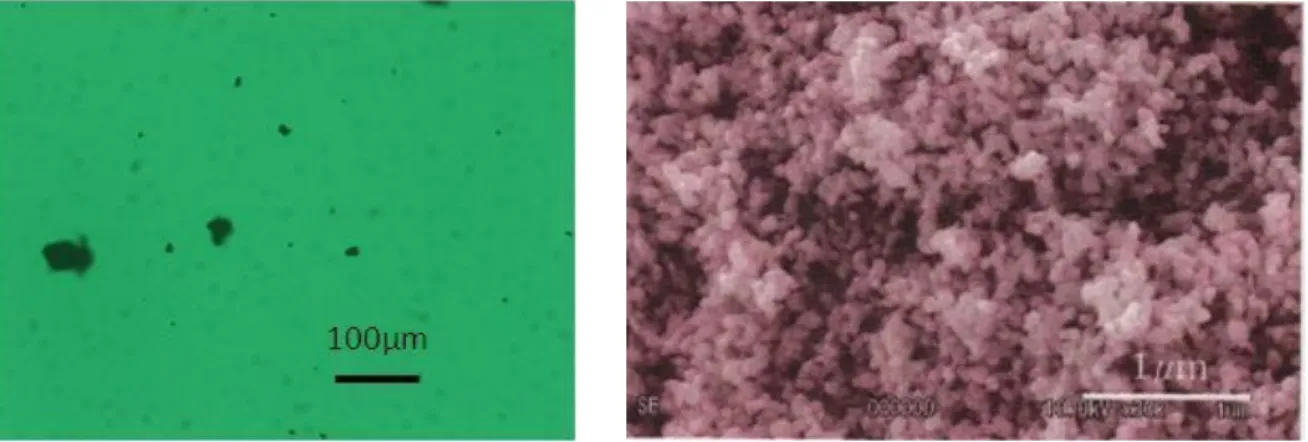 図 3.5: RNIP の光学顕微鏡像 図 3.6: RNIP の SEM 像