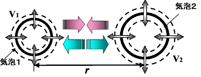 Fig. 2-4.  Secondary Bjerknes force 