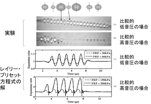 Fig. 2-5.  音圧変化による微小気泡の振動の様子とシミュレーション結果  2-4.  キャビテーションモード Fig.  2-6  に示すように微小気泡が破壊する際に発する気泡破壊信号は、ブロードバンドな帯域 を持つ信号である。一方、微小気泡が破壊されないとき気泡は非線形振動をする。この非線形信 号は、照射する超音波の周波数の n 倍(n は 2 以上の整数)  の周波数をもつ高調波成分や、n 分 の 1 倍の周波数をもつ分数調波成分などを含む信号である。  Fig