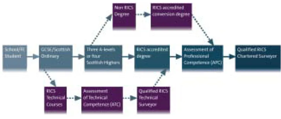 図 4-1 APC を経て Chartered Surveyor となる道筋 